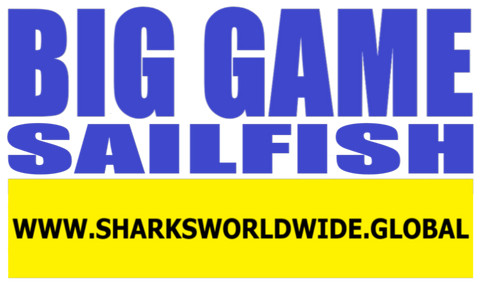 BGNBT SAILF F/R T