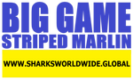 BGNBT STRM F/R T