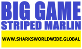 BGNBT STRM F/R T