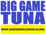 BGNBT TUNA F/R T