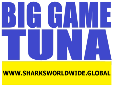 BGNBT TUNA F/R T