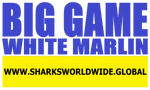 BGNBT WHTM F/R T