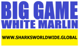 BGNBT WHTM F/R T