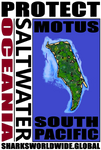 PMOTUS SP T