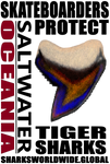 SKBDP TS M