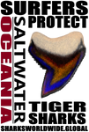 SP TS T V2 H