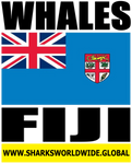 WHALES FIJI V2 T