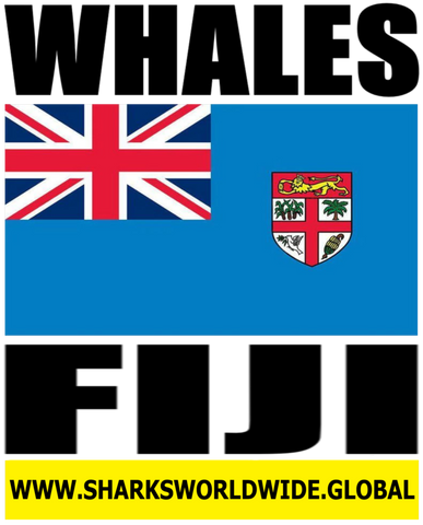 WHALES FIJI V2 T