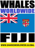WHAWW FIJI V2 M