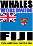 WHALES WW FIJI V2 T