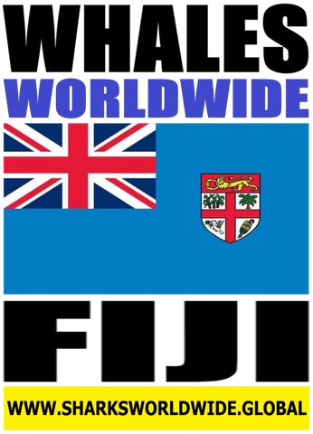 WHAWW FIJI V2 M