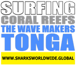 9SGCRTWM TONG F/R T