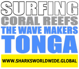 9SGCRTWM TONG F/R T