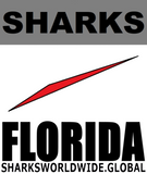 L SHARKS FL V2 T
