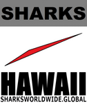 L SHARKS HI V2 M