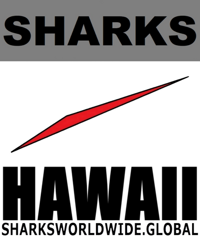 L SHARKS HI V2 H
