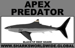 AP BLACKTIP REEF M