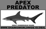 AP G HAMMERHEAD M