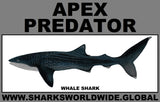 AP WHALE S M