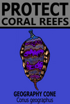 PCRS GEO M