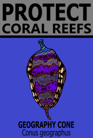 PCRS GEO T