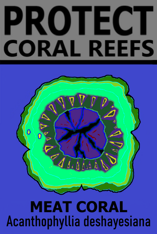 PCRS MEAT C