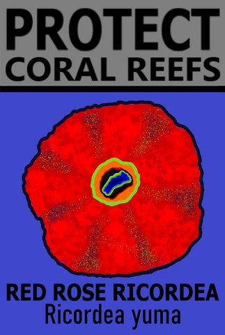 PCRS ROSE T