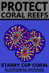 PCRS STA C