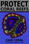 PCRS VASE T
