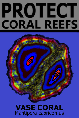 PCRS VASE M