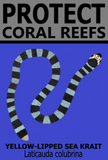 PCRS YLSK C