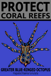 PCRS GBR T
