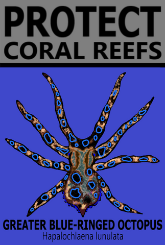 PCRS GBR C