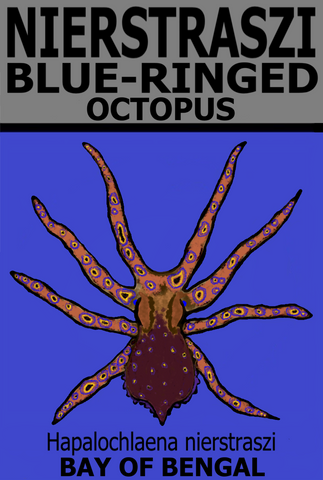 NIER OCTOPUS V1 T