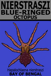 NIER OCTOPUS V1 M