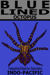 BL OCTOPUS V1 T