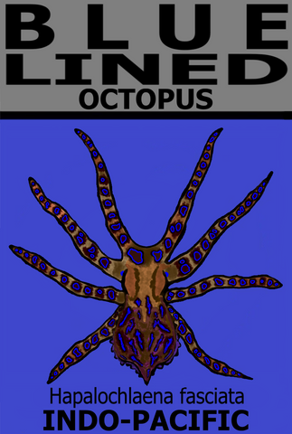 BL OCTOPUS V1 T