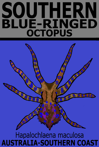 SBR OCTOPUS V1 T