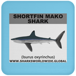 SSP SHORTFIN C