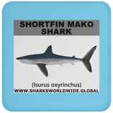SSP SHORTFIN C