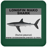 SSP LONGFIN C
