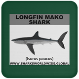 SSP LONGFIN C