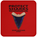 PSKT ESW C