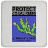PCRS BIRDS C