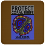 PCRS VASE C