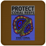 PCRS VASE C