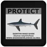 PRS SHORTFIN V2 C