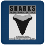 GR SSPX T MEGALODON C