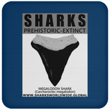 GR SSPX T MEGALODON C