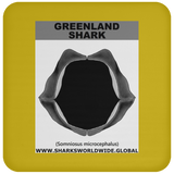GR GREENLAND J C